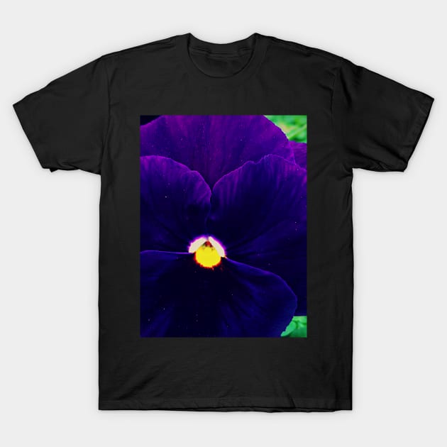 Yellow-eyed flower T-Shirt by Raiza